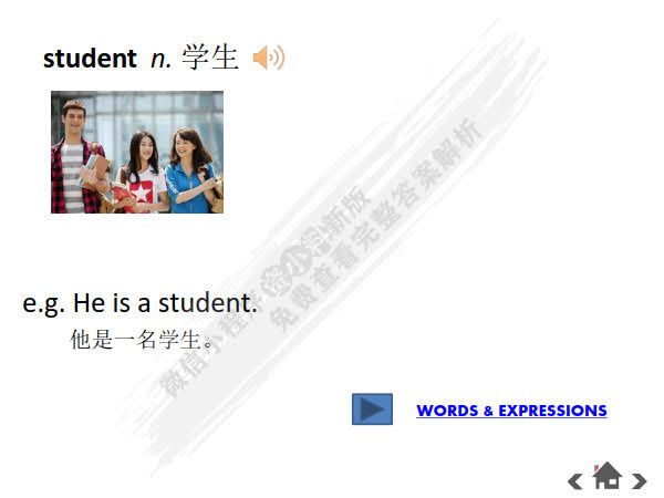 新生代英语入门教程