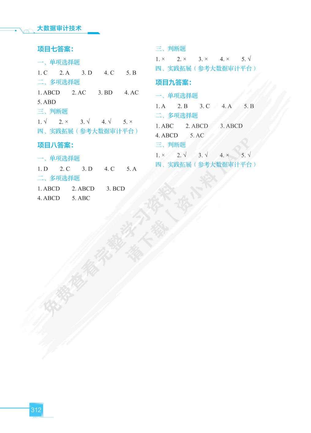 大数据审计技术