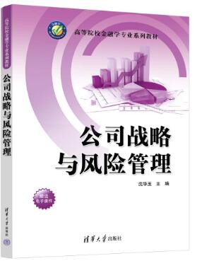 公司战略与风险管理
