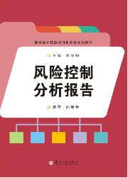 风险控制分析报告